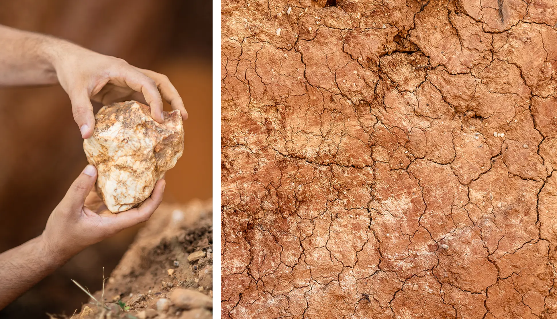 0c6c2b3b-c909-47f7-ae22-e95507d062de