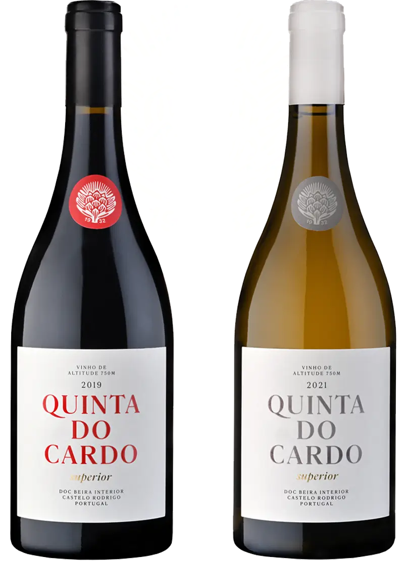 1e4305a8-2901-467f-a960-69c6b6d1daee