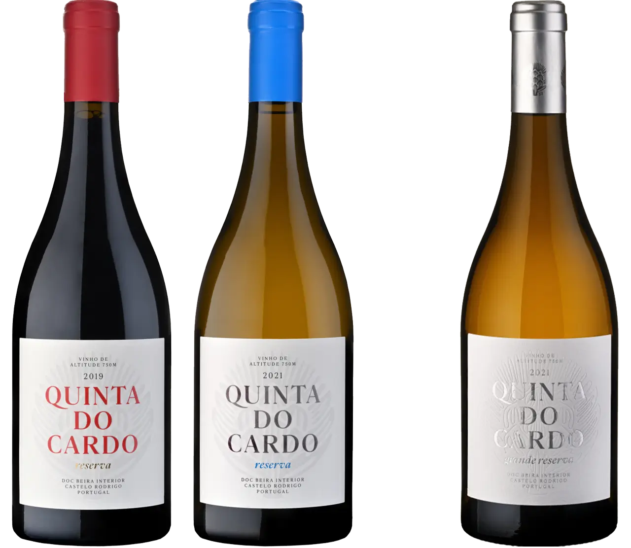 23938be8-2aa1-4c2d-b7b8-2b2771005a60