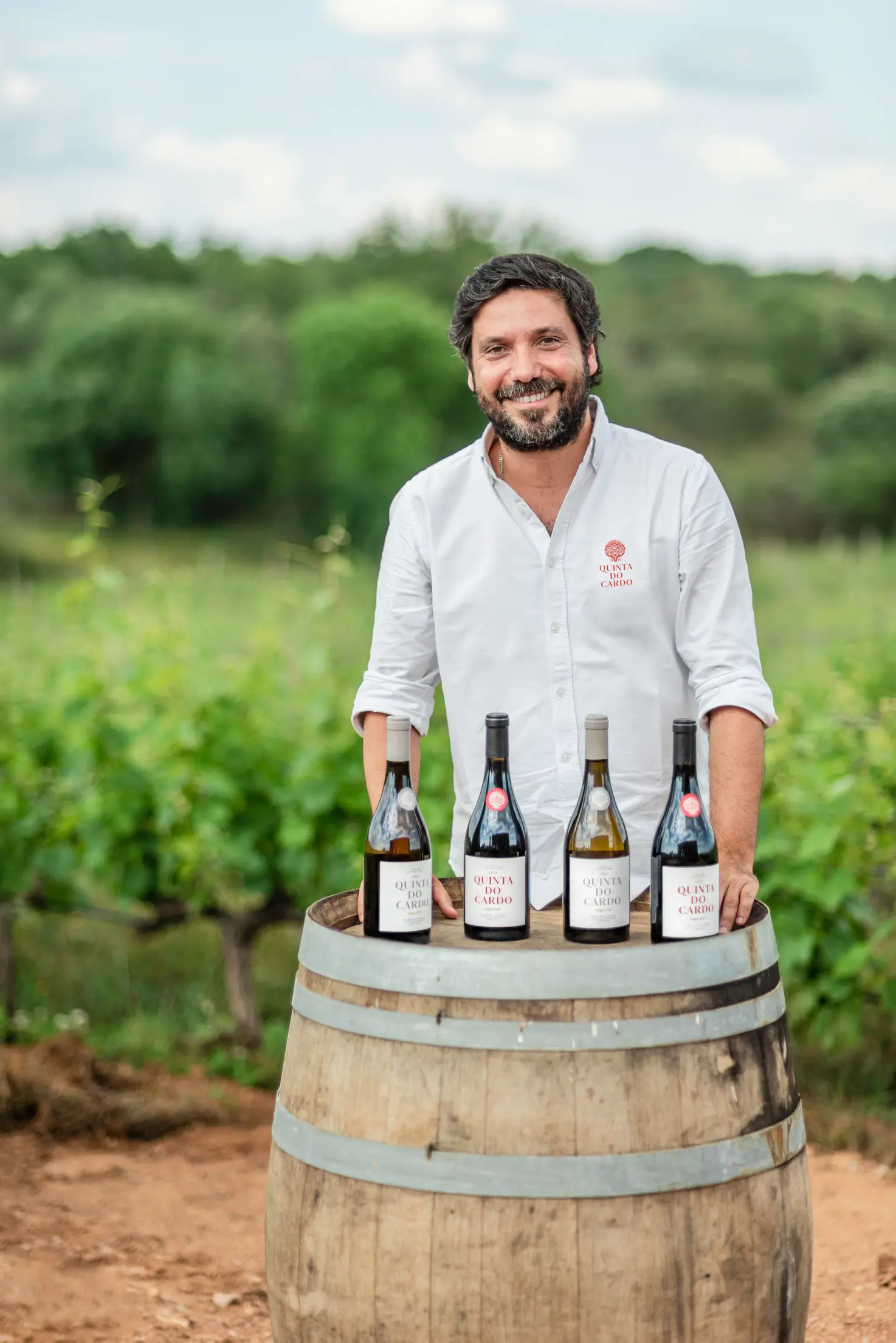 3e022481-80cc-42de-9493-a515508cd9c9