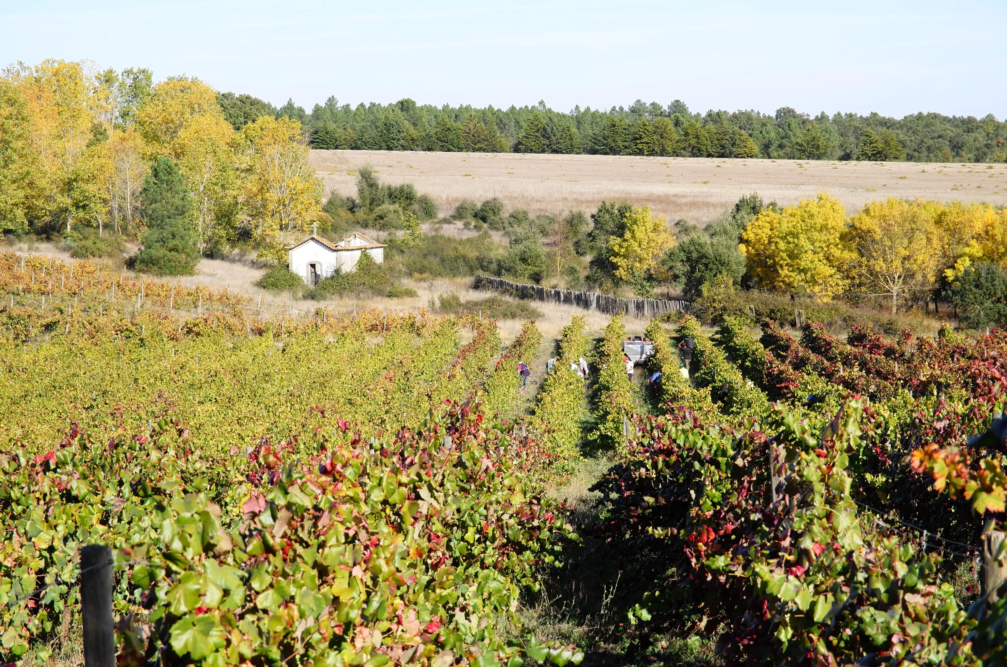 44cb96c7-24a7-48db-b887-777f92a1db7a