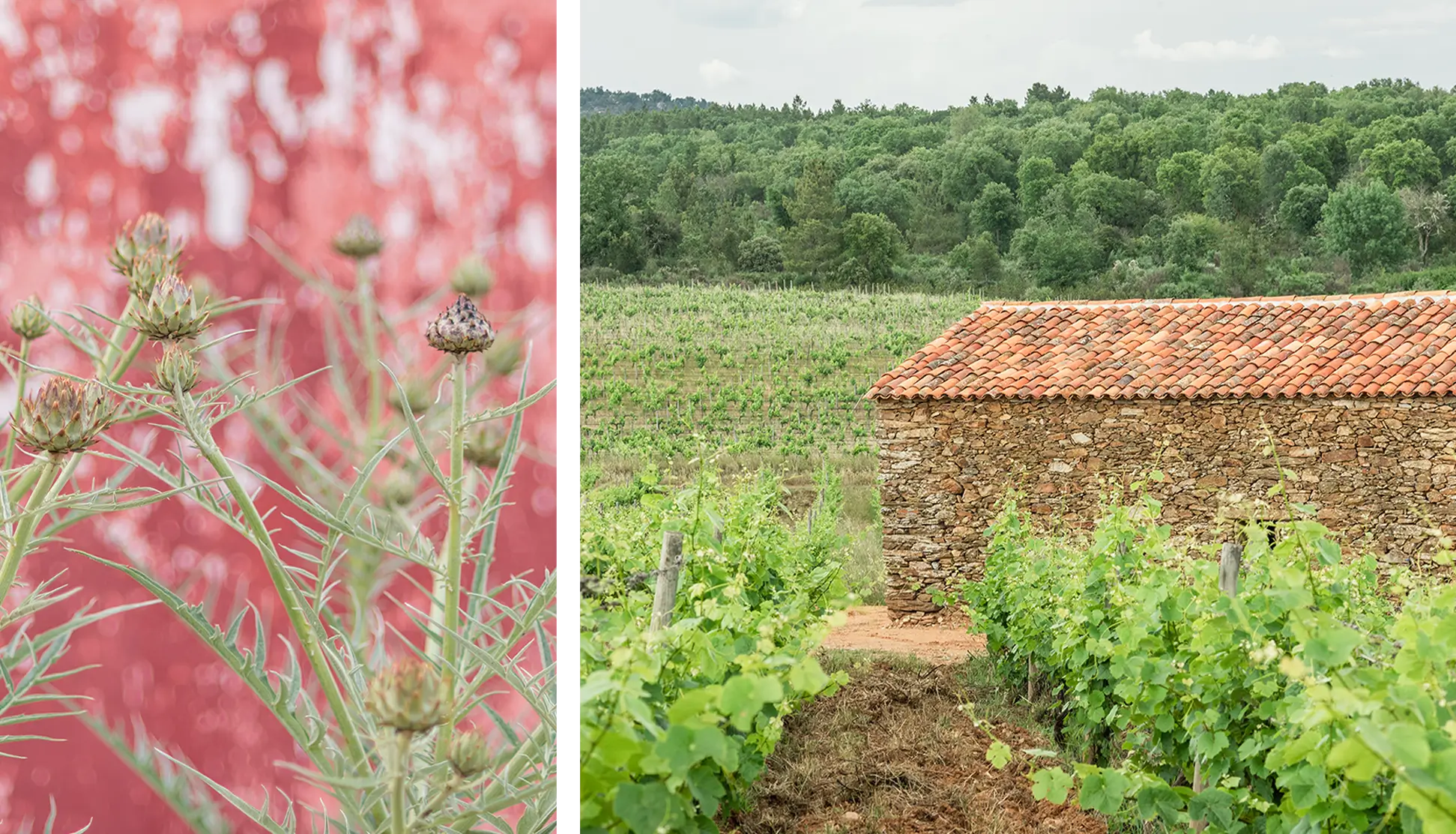 8eaee9a5-3ab5-4675-8bc8-b2e20361200a