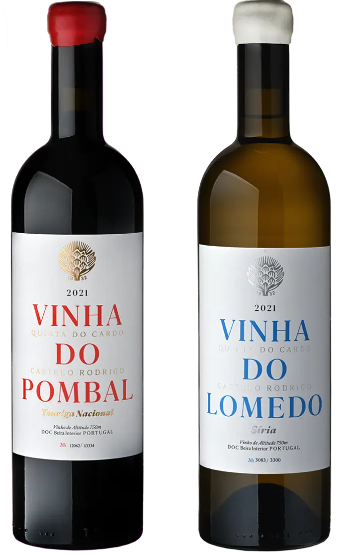 c0e3cce8-1d09-4e55-aca6-4915b3e7701e