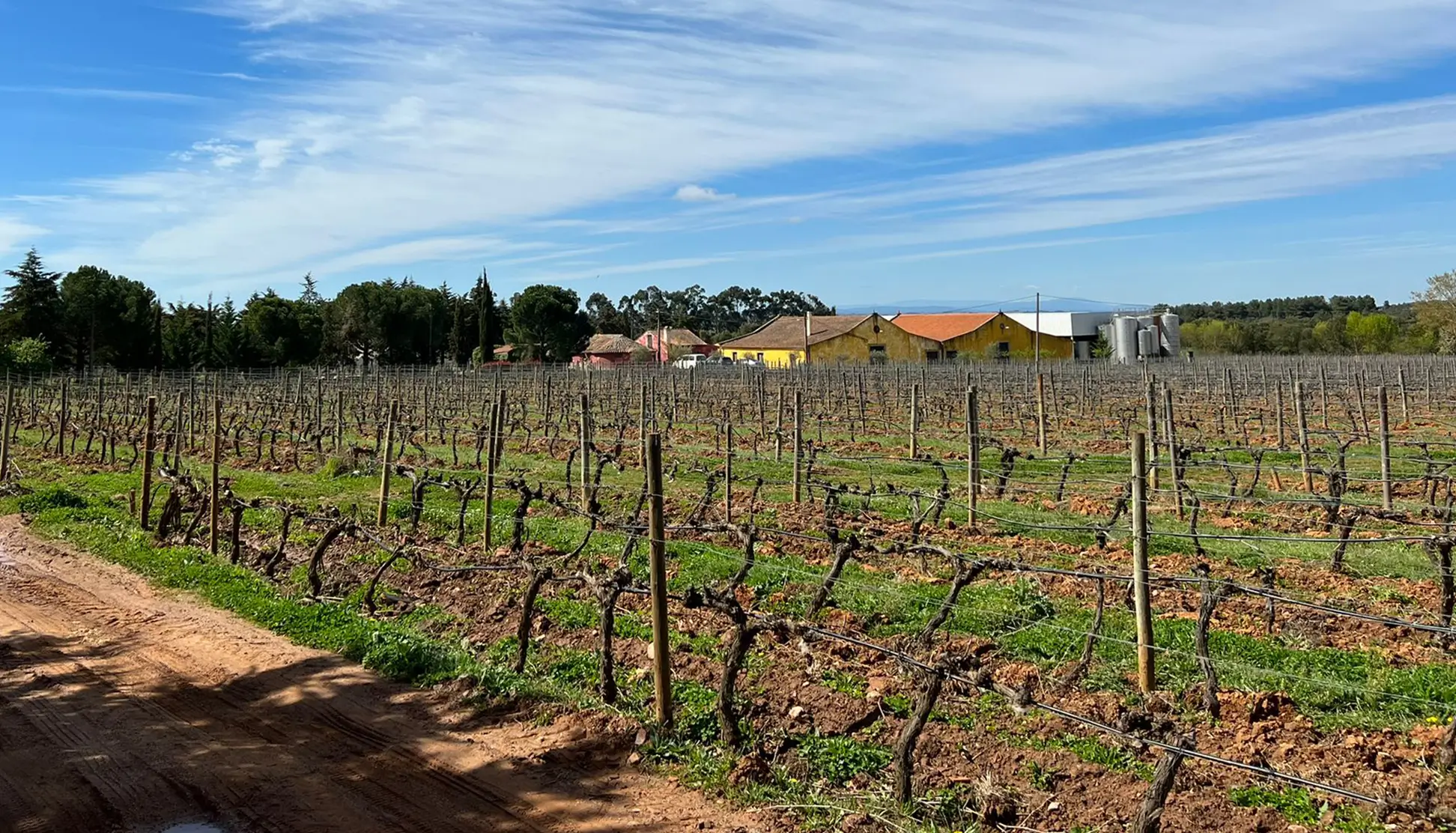 d221dac6-68c6-4eb8-973f-a17cf4164428