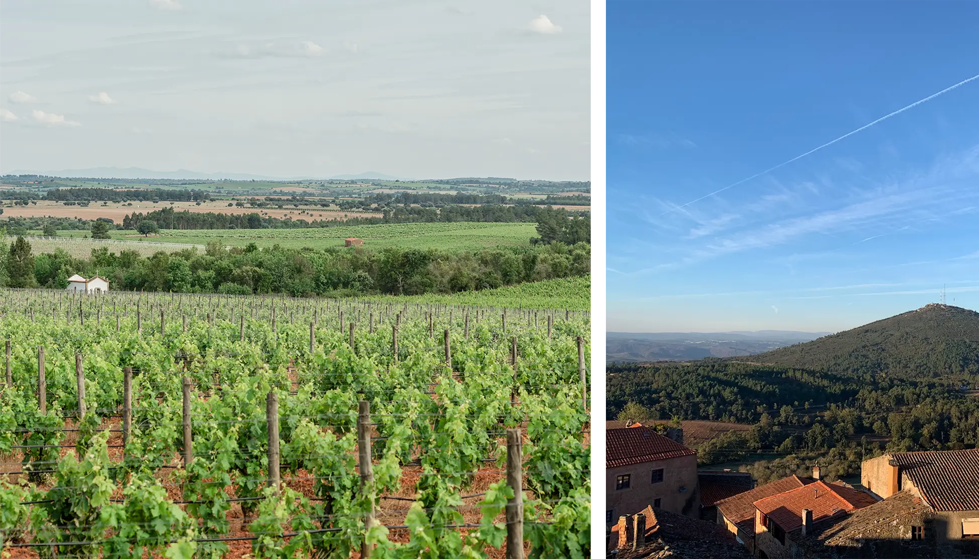 e5b83ed5-4bb4-4075-80d8-0193c66c14f6