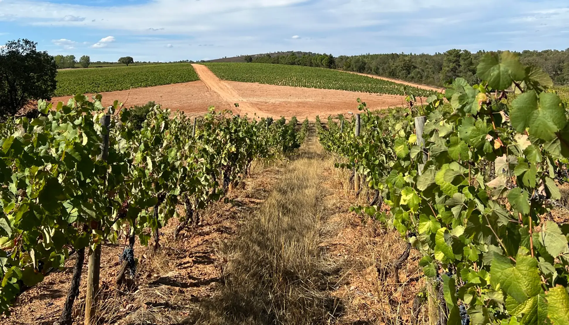 efeed71c-6066-4912-9ac6-d4bf2d6d8b8f